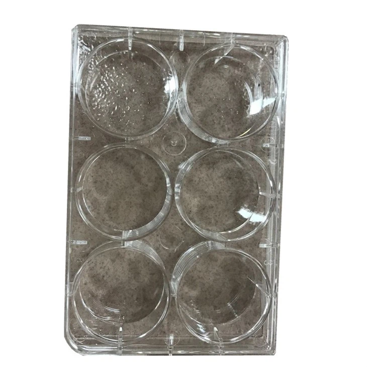 Plastic Test Tube Rack